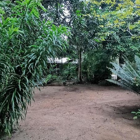 Sigiri Mango Garden Eco Resort Sigiriya Exterior photo